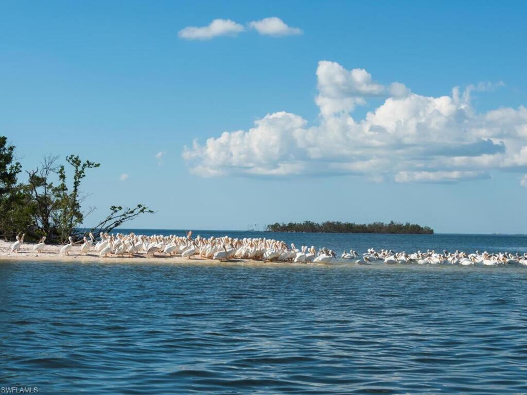 شقة Marina Getaway On The Water! North North Naples المظهر الخارجي الصورة