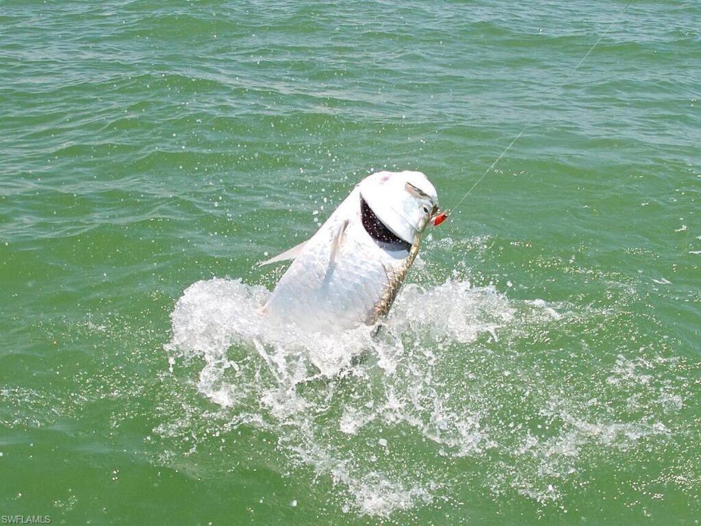 شقة Marina Getaway On The Water! North North Naples المظهر الخارجي الصورة